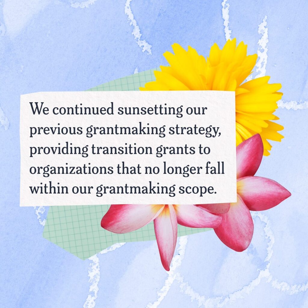 A collage including images of bright flowers, abstract shapes of colorful paper, and text that reads "We continued sunsetting our previous grantmaking strategy, providing transition grants to organizations that no longer fall within our grantmaking scope."