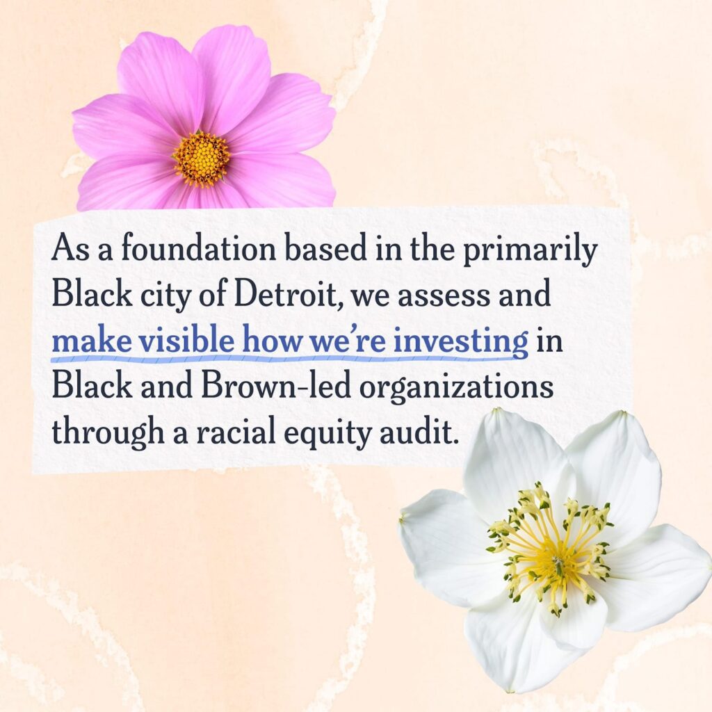 A collage including images of bright flowers and text that reads "As a foundation based in the primarily Black city of Detroit, we assess and make visible how we're investing in Black and Brown-led organizations through a racial equity audit."